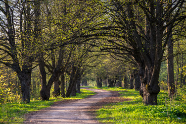 Similar image 22454192