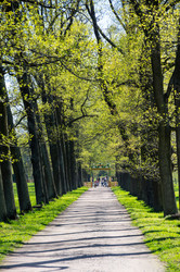 Similar image 22454194