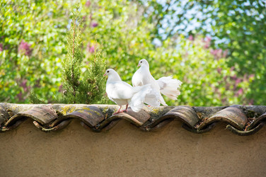 Similar image 22454195