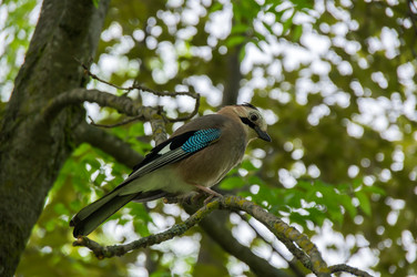 Similar image 22454205