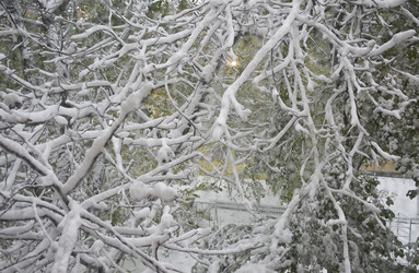 Similar image 22452325