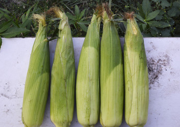 Similar image 22452361