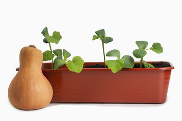 Similar image 22456436