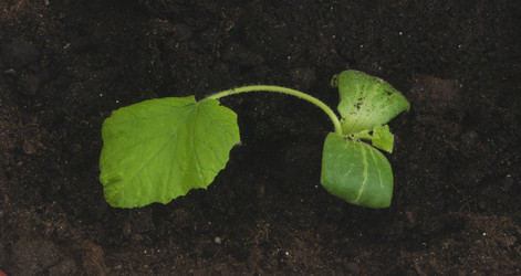 Similar image 22456437