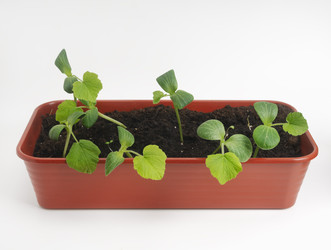 Similar image 22456451