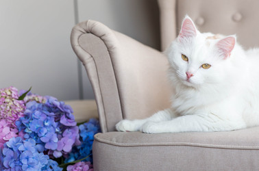 Similar image 22454344