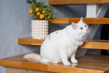 Similar image 22454376