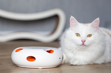 Similar image 22454438