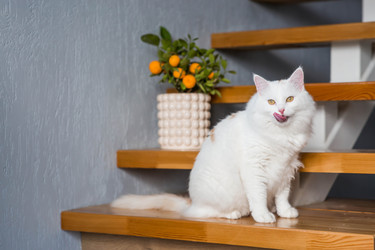 Similar image 22454452