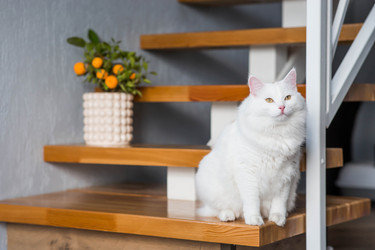 Similar image 22454600