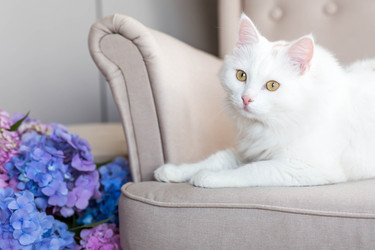 Similar image 22454602