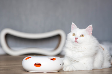 Similar image 22454604