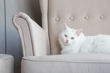 Similar image 22454605