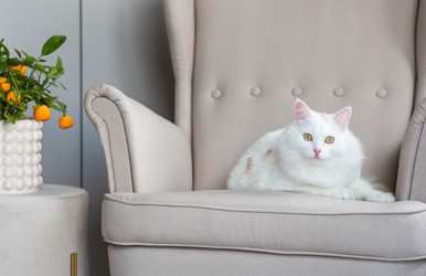 Similar image 22454606