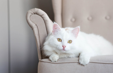 Similar image 22454607