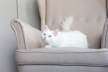 Similar image 22454608