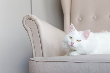 Similar image 22454609