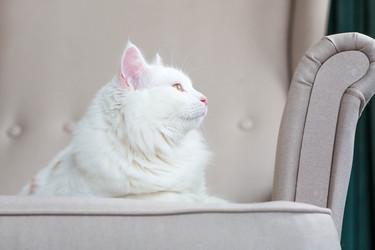 Similar image 22454610