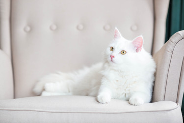 Similar image 22454614