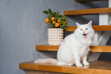 Similar image 22454615