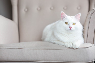 Similar image 22454620