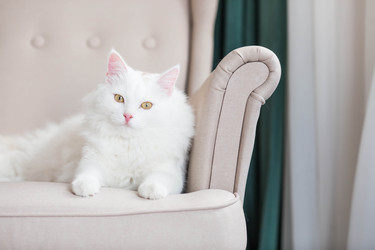 Similar image 22454621