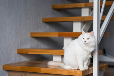 Similar image 22454622