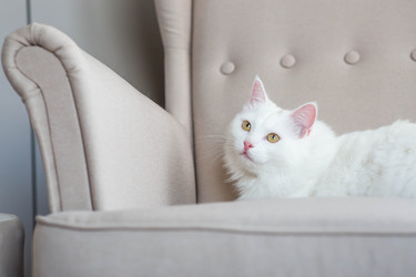 Similar image 22454623