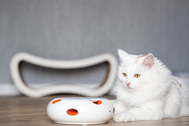 Similar image 22454627