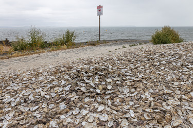 Similar image 22476479