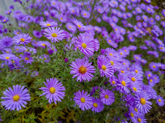 Similar image 22460754