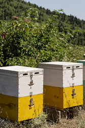 Similar image 22469452