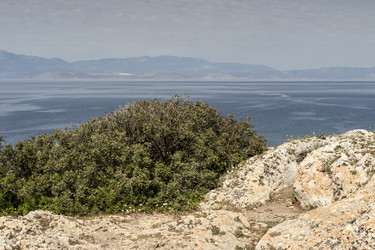 Similar image 22469454