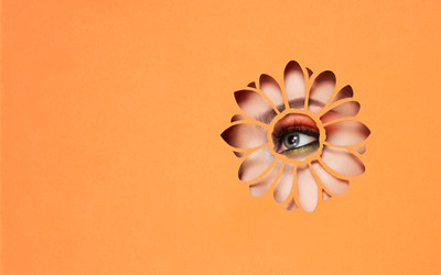 Similar image 22466056