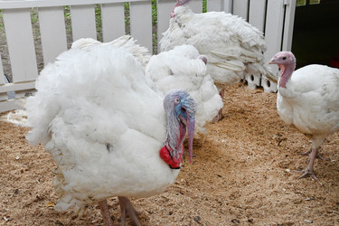 Similar image 22452430