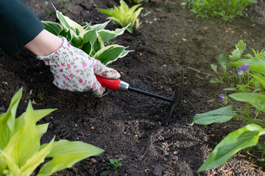 Similar image 22452410