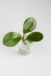 Similar image 22459210