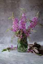 Similar image 22452413