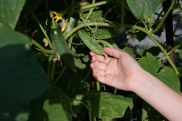 Similar image 22452414