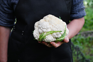 Similar image 22452417