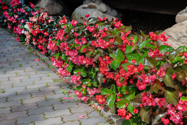 Similar image 22452434