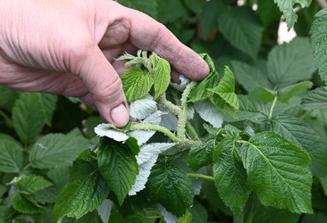 Similar image 22452437