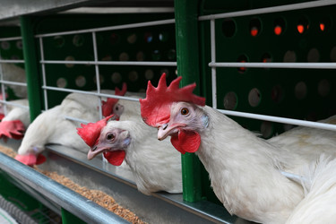 Similar image 22452438