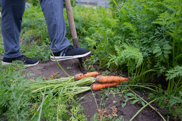 Similar image 22452439