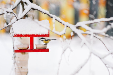 Similar image 22466003