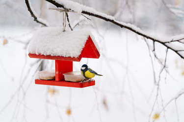 Similar image 22466018