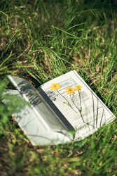 Similar image 22466019