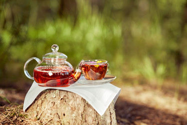 Similar image 22466044