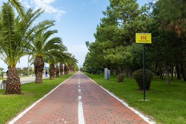 Similar image 22455193