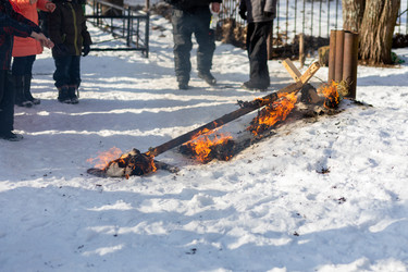 Similar image 22452421